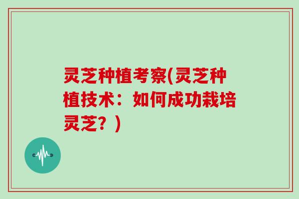 灵芝种植考察(灵芝种植技术：如何成功栽培灵芝？)