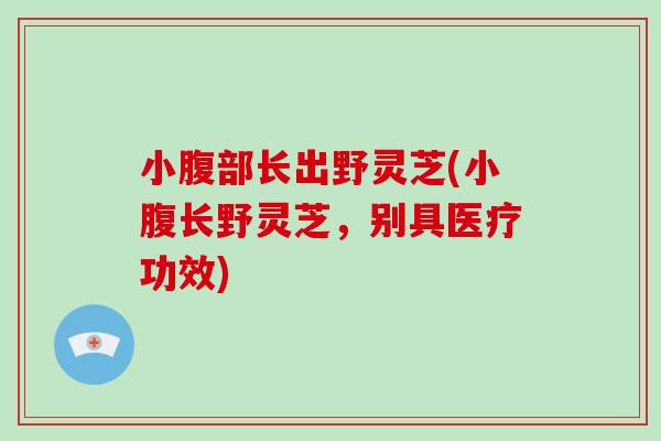 小腹部长出野灵芝(小腹长野灵芝，别具医疗功效)