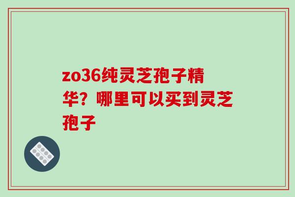 zo36纯灵芝孢子精华？哪里可以买到灵芝孢子