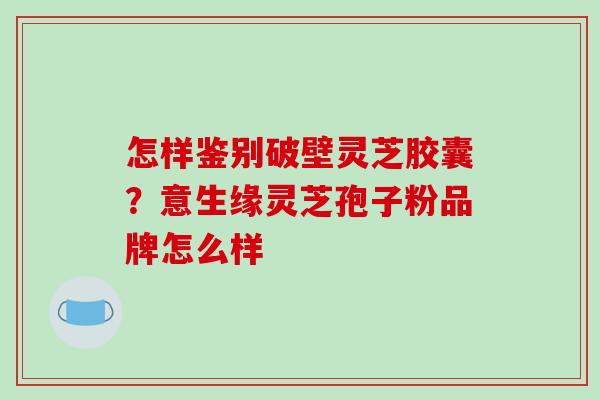 怎样鉴别破壁灵芝胶囊？意生缘灵芝孢子粉品牌怎么样