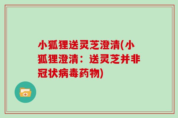 小狐狸送灵芝澄清(小狐狸澄清：送灵芝并非冠状病毒药物)
