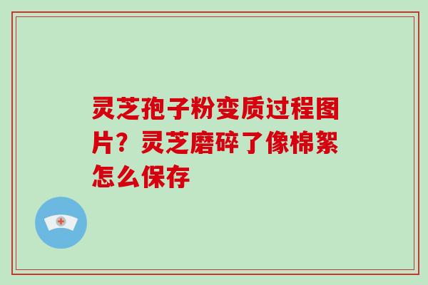 灵芝孢子粉变质过程图片？灵芝磨碎了像棉絮怎么保存