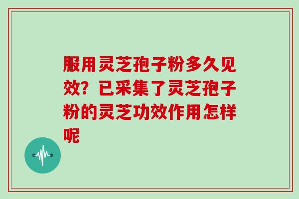 服用灵芝孢子粉多久见效？已采集了灵芝孢子粉的灵芝功效作用怎样呢