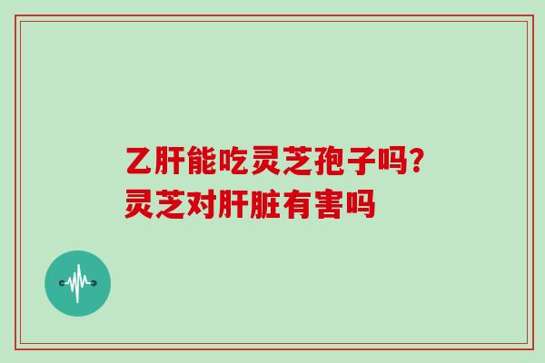 乙肝能吃灵芝孢子吗？灵芝对肝脏有害吗