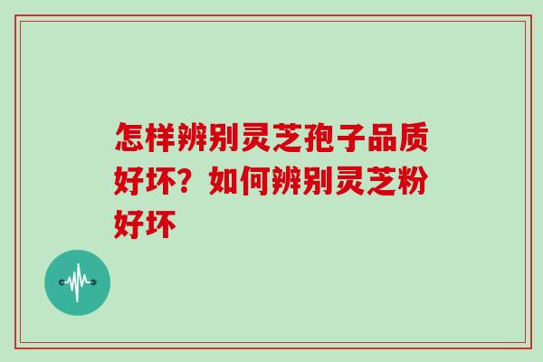 怎样辨别灵芝孢子品质好坏？如何辨别灵芝粉好坏
