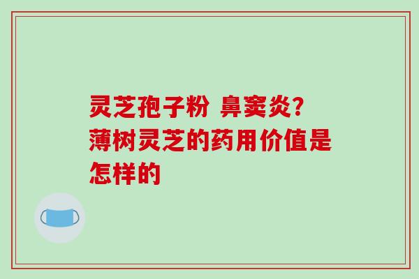 灵芝孢子粉 鼻窦炎？薄树灵芝的药用价值是怎样的