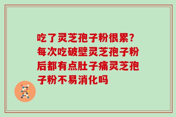 吃了灵芝孢子粉很累？每次吃破壁灵芝孢子粉后都有点肚子痛灵芝孢子粉不易消化吗