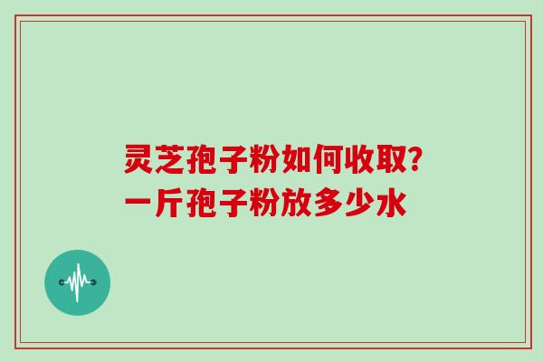 灵芝孢子粉如何收取？一斤孢子粉放多少水