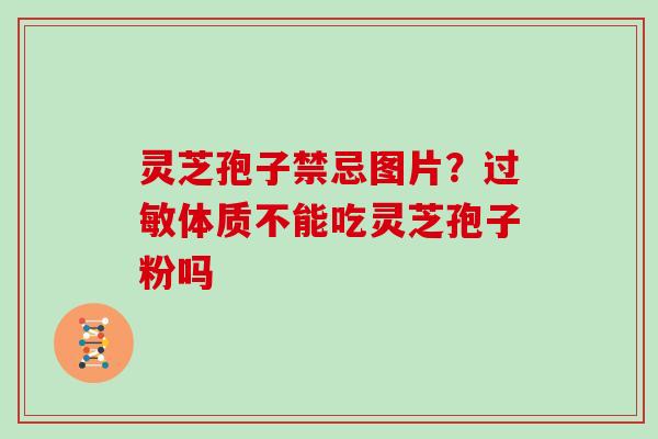 灵芝孢子禁忌图片？过敏体质不能吃灵芝孢子粉吗