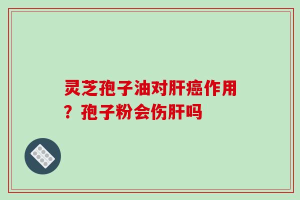 灵芝孢子油对肝癌作用？孢子粉会伤肝吗