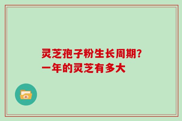 灵芝孢子粉生长周期？一年的灵芝有多大