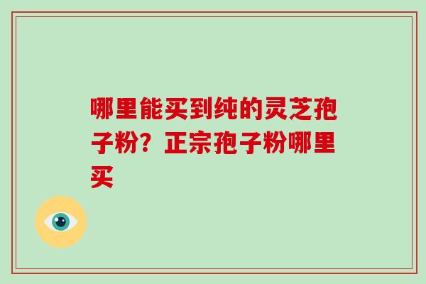 哪里能买到纯的灵芝孢子粉？正宗孢子粉哪里买