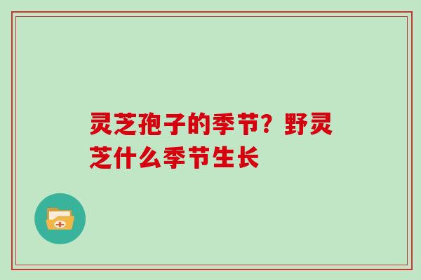 灵芝孢子的季节?野灵芝什么季节生长