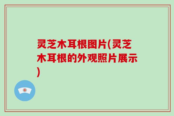 灵芝木耳根图片(灵芝木耳根的外观照片展示)