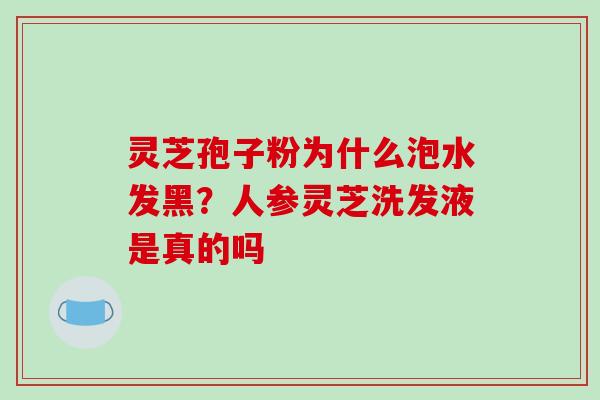 灵芝孢子粉为什么泡水发黑？人参灵芝洗发液是真的吗