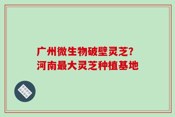 广州微生物破壁灵芝？河南最大灵芝种植基地