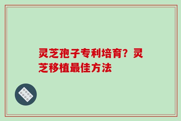 灵芝孢子专利培育？灵芝移植最佳方法