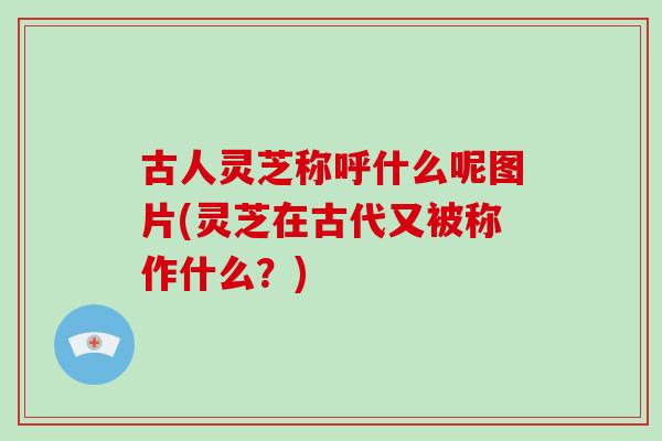 古人灵芝称呼什么呢图片(灵芝在古代又被称作什么?)