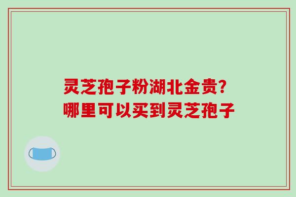 灵芝孢子粉湖北金贵?哪里可以买到灵芝孢子