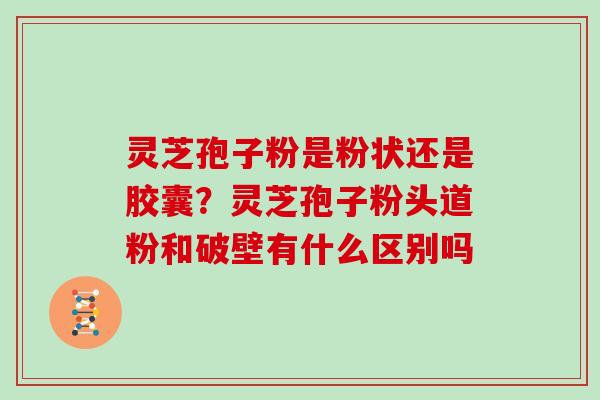 灵芝孢子粉是粉状还是胶囊?灵芝孢子粉头道粉和破壁有什么区别吗