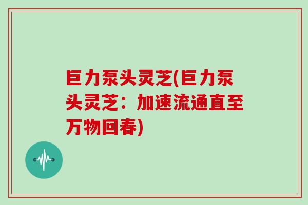 巨力泵头灵芝(巨力泵头灵芝：加速流通直至万物回春)