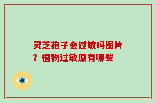 灵芝孢子会过敏吗图片?植物过敏原有哪些