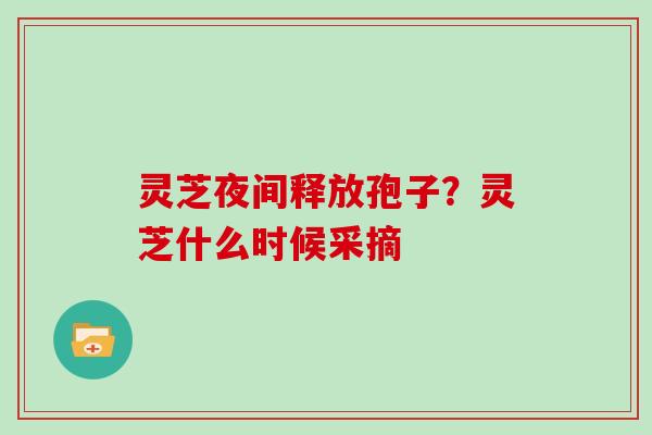 灵芝夜间释放孢子?灵芝什么时候采摘