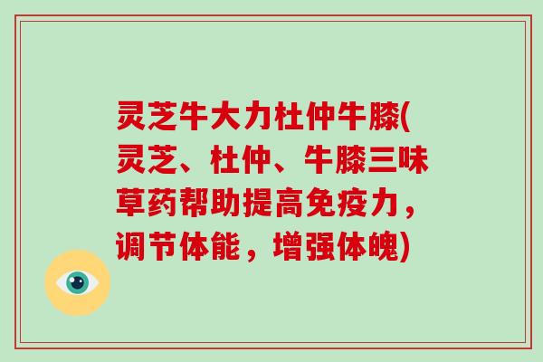 灵芝牛大力杜仲牛膝(灵芝、杜仲、牛膝三味草药帮助提高免疫力,调节体能,增强体魄)