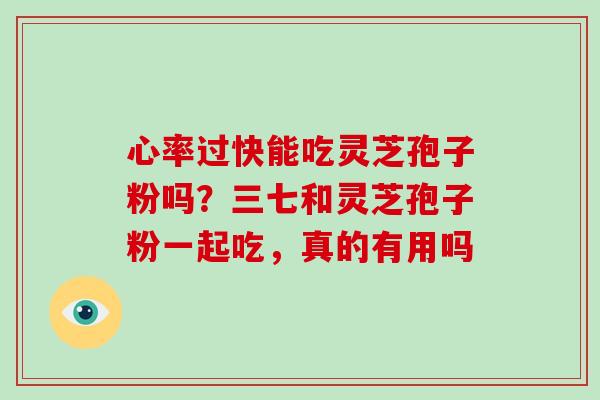 心率过快能吃灵芝孢子粉吗?三七和灵芝孢子粉一起吃,真的有用吗