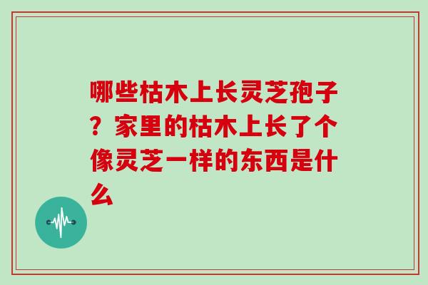 哪些枯木上长灵芝孢子?家里的枯木上长了个像灵芝一样的东西是什么