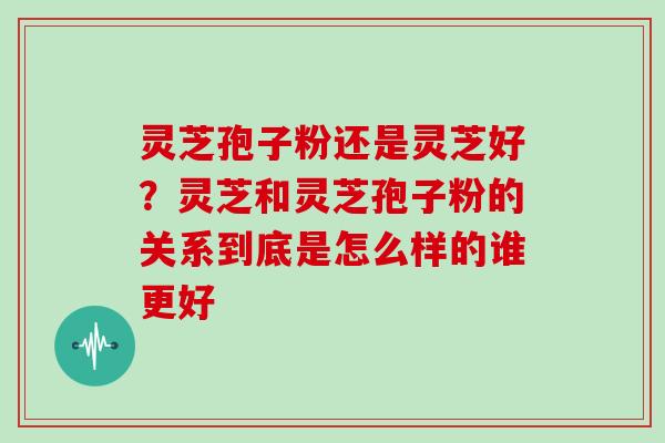 灵芝孢子粉还是灵芝好?灵芝和灵芝孢子粉的关系到底是怎么样的谁更好