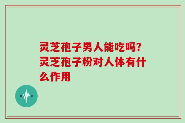 灵芝孢子男人能吃吗?灵芝孢子粉对人体有什么作用