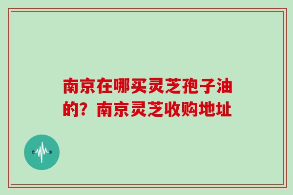 南京在哪买灵芝孢子油的？南京灵芝收购地址