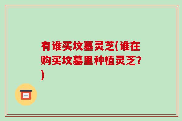 有谁买坟墓灵芝(谁在购买坟墓里种植灵芝?)