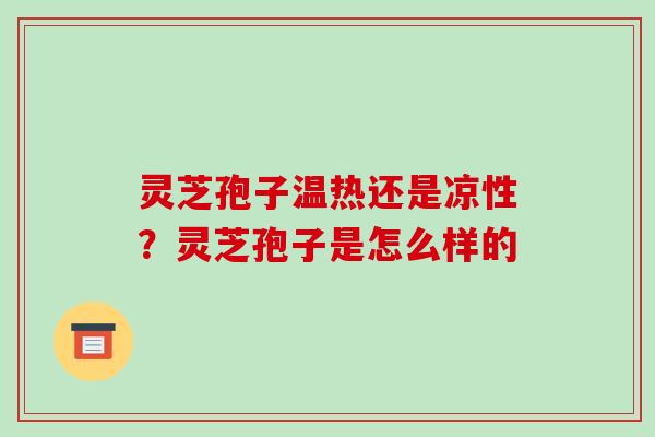 灵芝孢子温热还是凉性？灵芝孢子是怎么样的