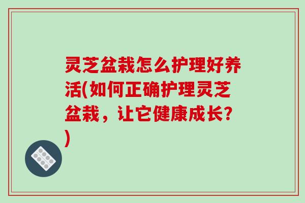 灵芝盆栽怎么护理好养活(如何正确护理灵芝盆栽，让它健康成长？)