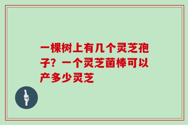 一棵树上有几个灵芝孢子?一个灵芝菌棒可以产多少灵芝