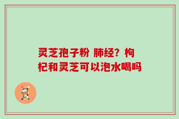 灵芝孢子粉 肺经？枸杞和灵芝可以泡水喝吗