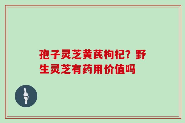 孢子灵芝黄芪枸杞?野生灵芝有药用价值吗