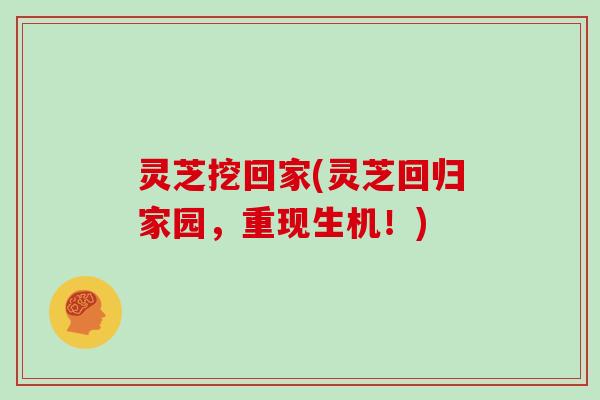 灵芝挖回家(灵芝回归家园,重现生机!)