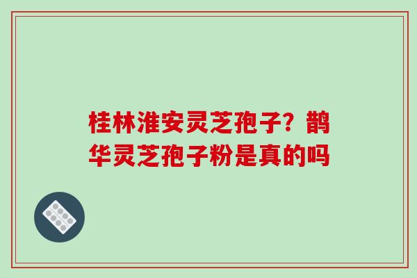 桂林淮安灵芝孢子？鹊华灵芝孢子粉是真的吗
