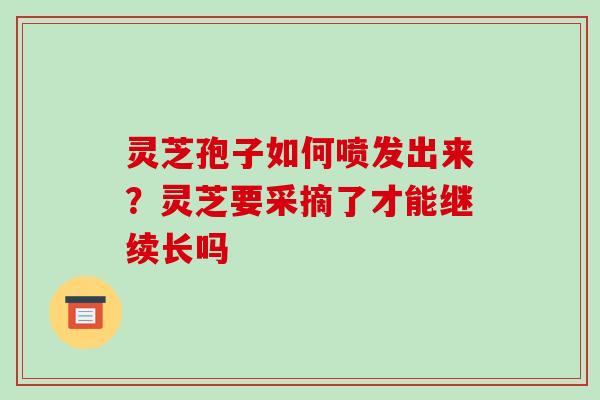 灵芝孢子如何喷发出来?灵芝要采摘了才能继续长吗