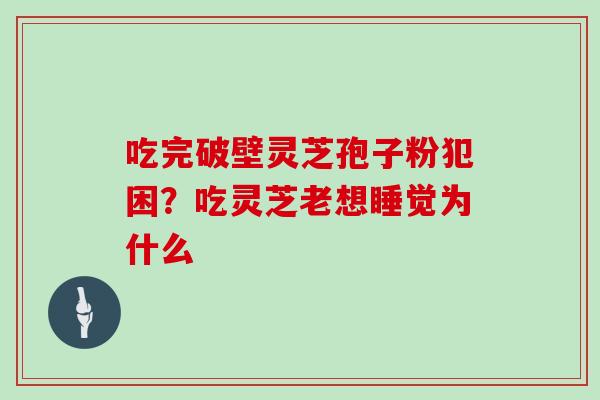 吃完破壁灵芝孢子粉犯困？吃灵芝老想睡觉为什么