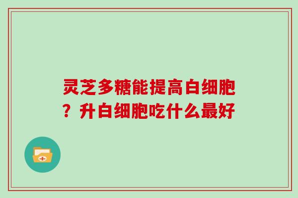 灵芝多糖能提高白细胞?升白细胞吃什么最好