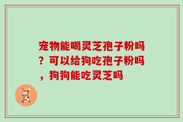 宠物能喝灵芝孢子粉吗？可以给狗吃孢子粉吗，狗狗能吃灵芝吗
