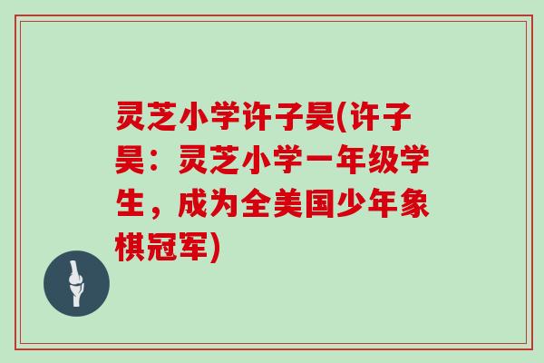 灵芝小学许子昊(许子昊：灵芝小学一年级学生，成为全美国少年象棋冠军)