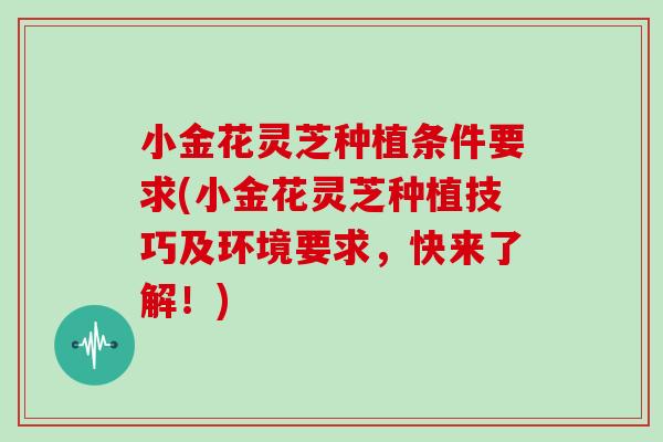 小金花灵芝种植条件要求(小金花灵芝种植技巧及环境要求,快来了解!)