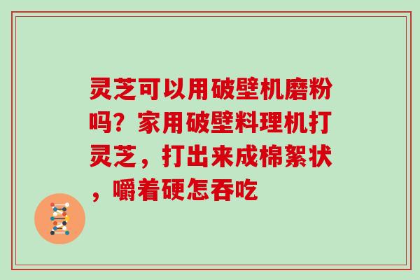 灵芝可以用破壁机磨粉吗?家用破壁料理机打灵芝,打出来成棉絮状,嚼着硬怎吞吃