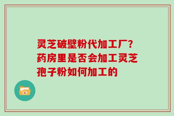 灵芝破壁粉代加工厂？药房里是否会加工灵芝孢子粉如何加工的