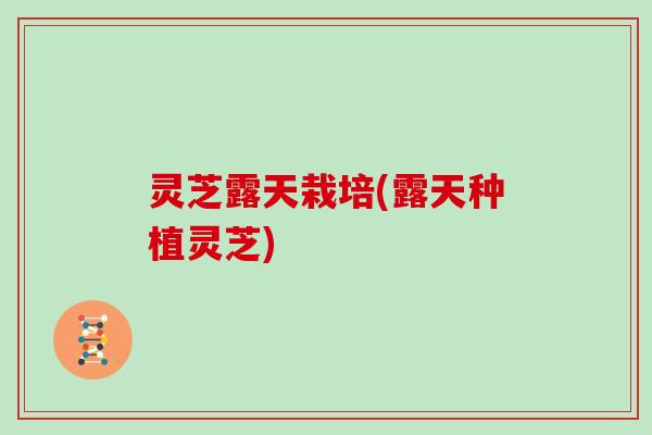 灵芝露天栽培(露天种植灵芝)